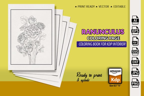 Ranunculus, Buttercup Flower Line Sketch