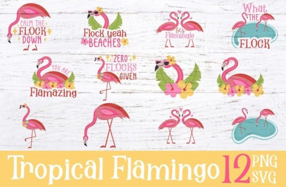 Summer Tropical Flamingo Graphics for Crafts
