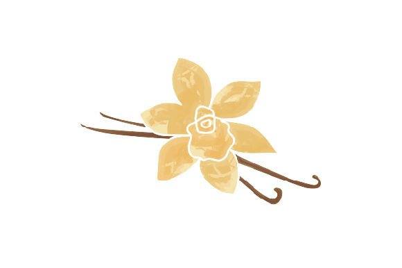 Vanilla Flowers Watercolor for Crafts and Nature Lovers